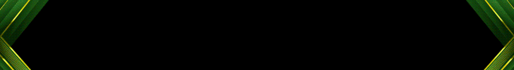 POHON4D